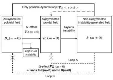 Figure 2.8 – Boucles dynamo dans les zones radiatives selon Spruit, 2002 [46] (boucle A) et Braithwaite, 2006 [5] (boucle B), en pointillés