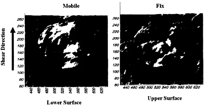 Figure 3-7: A 3D view of lower and upper surfaces of non-bonded concrete-concrete joint  (sample CC8.35)