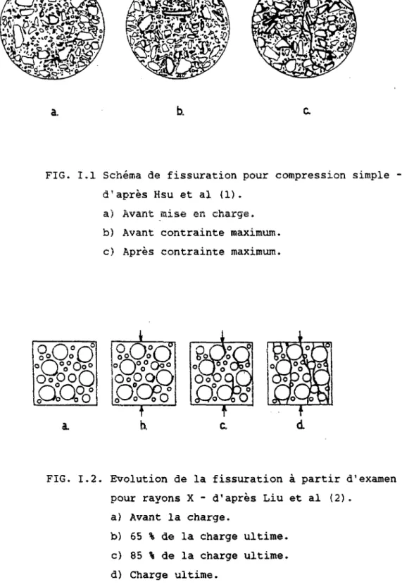 FIG. I.2. Evolution de la fissuration à partir d'examen  pour rayons X - d'après Liu et al (2)