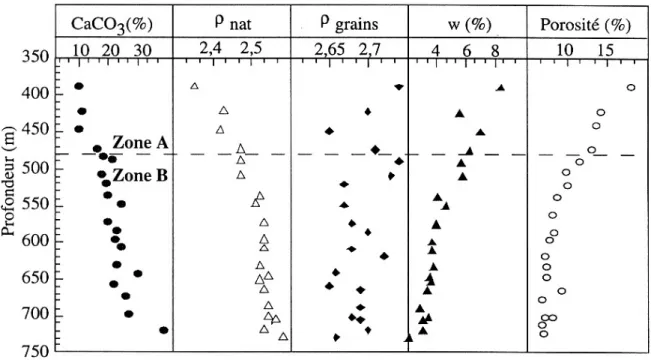 Figure IV-1 : Evolutions des propriétés physiques des siltites du Gard en fonction de la  profondeur