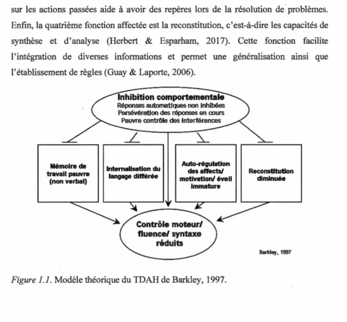 Figure 1.1.  Modèle théorique du TDAH de  Barkley,  1997. 