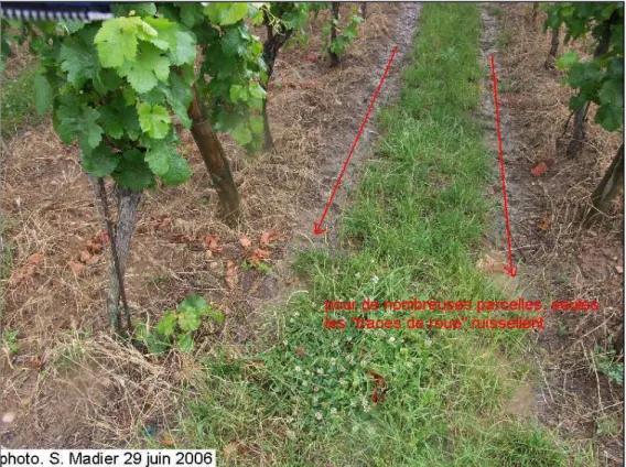 Figure  3-  6  Contribution  majeure  des  traces  de  roue  à  la  production  du  ruissellement  sur  une  parcelle  connectée  au  réseau  de  transfert