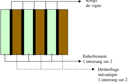 Figure  2-  2  Schématisation  de  l’itinéraire  technique  classique  dans  le  vignoble alsacien