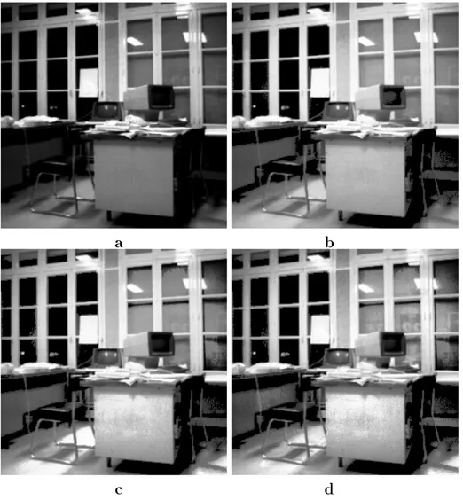 Figure 4: Example of shape preserving local histogram modication for real data. The rst row shows the original image (a) and the result of global histogram modication (b)