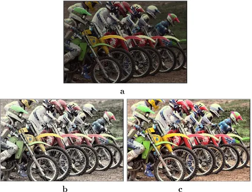Figure 6: Example of local histogram modication of a color image. The original image is shown on the top
