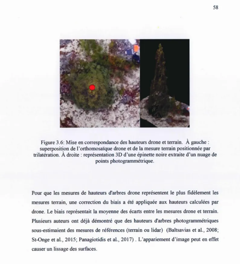 Figure 3.6: Mise en correspondance des hauteurs drone et terrain.  À  gauche : 