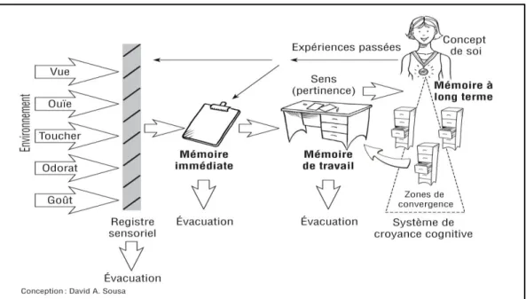 Figure 1  Un modèle de traitement de l’information 