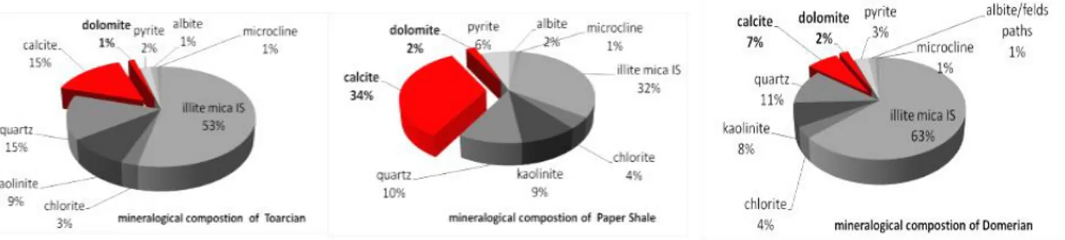 Figure 13: Different mineral compositions of Domerian, Paper Shale and Toarcian clays 