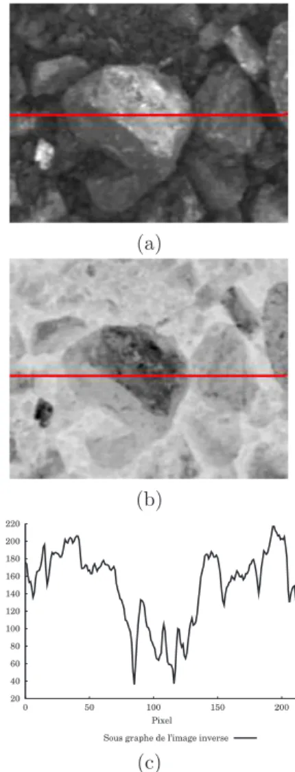 Fig. 2.55: (a) Fragment avec textures claires, (b) Image inverse, (c) Sous-graphe de l’image inverse montrant les textures claires sous forme de “trous” dans le relief