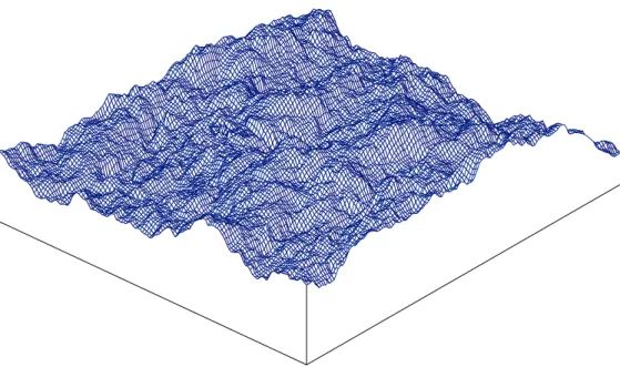 Figure III.26. Exemple d’un extrait (~150  ×  150 pixels) de la topographie d’une éponte à partir d’une  image en microtomographie à rayons X