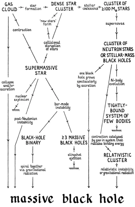 Figure 5. Possible modes of formation of a super- super-massive black hole in an AGN. Extracted from Rees (1978).