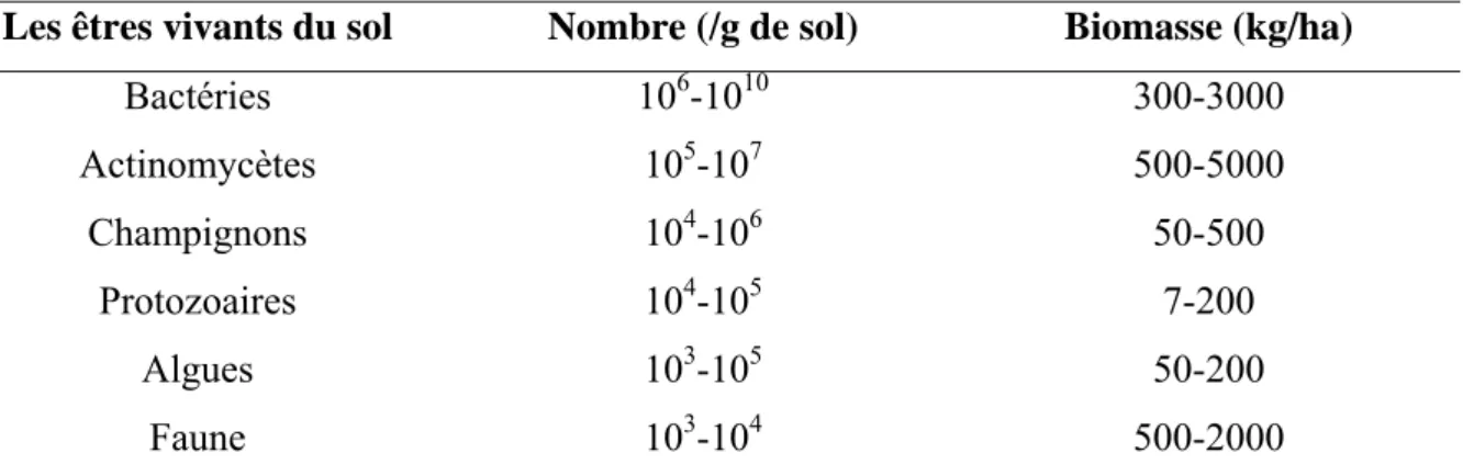 Tableau 1.1 Type et abondance des organismes vivants dans le sol (Chenu et Bruand, 1998) 