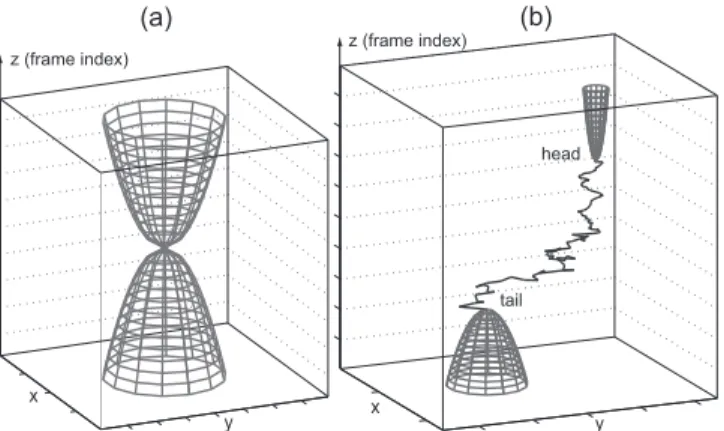 Fig. 3. (a) Potential P . Low values are displayed in dark gray- gray-tone. We seek a minimal path joining the two points defined in the top right and the bottom left of the image