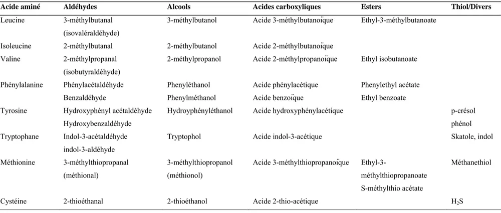 Tableau A-3. Composés issus de la dégradation enzymatique ou chimique des acides aminés (adapté de Smit et col., 2005)