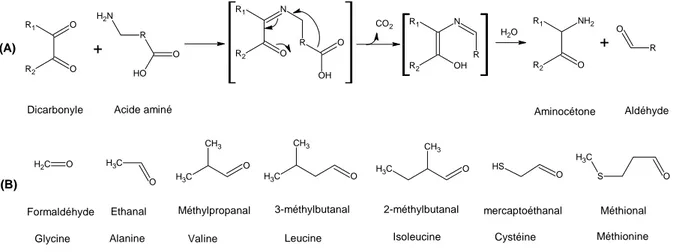 Figure A-7. Dégradation de Strecker des acides aminés (A) et exemple de quelques aldéhydes 