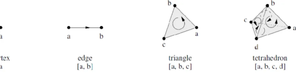 Figure 2.3 – n-simplexes, 0 ≤ n ≤ 3 . L’orientation sur le tétraèdre est représentée sur ses faces [6].