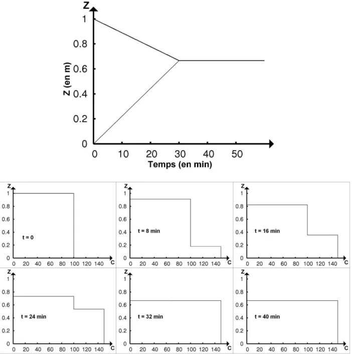 Figure II-3 : Simulation d’un cas de sédimentation pure sans chute entravée 