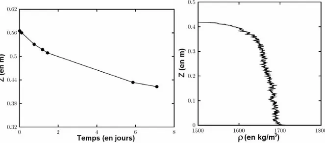 Figure II-9 : Essais Sidp1 : A gauche) Courbe de tassement ; A droite) Profil de masse volumique à t = 1  semaine (d'après Bartholomeeusen et al, 2002) 