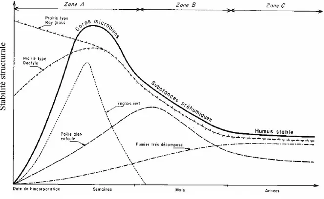 Fig. I-6. Modèle conceptuel de l’impact de différent types de matières organiques apportés sur  la stabilité des agrégats (Monnier, 1965)
