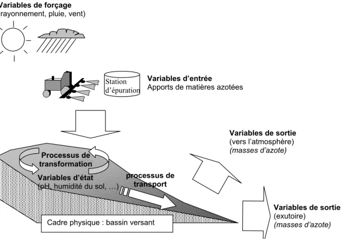 Figure A1-3 : Composants du cycle de l’azote à l’échelle du bassin versant 