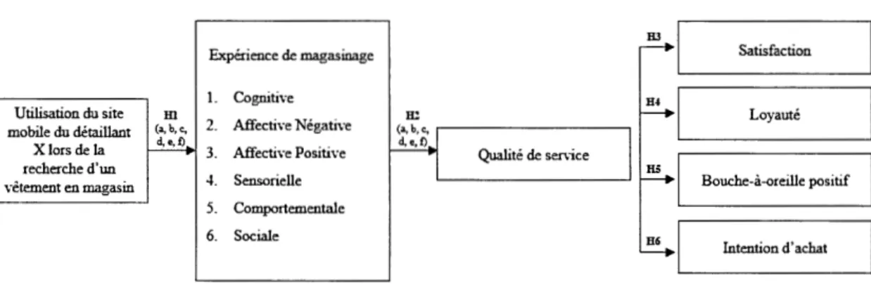 Figure 1.1  : Cadre conceptuel de l'étude 