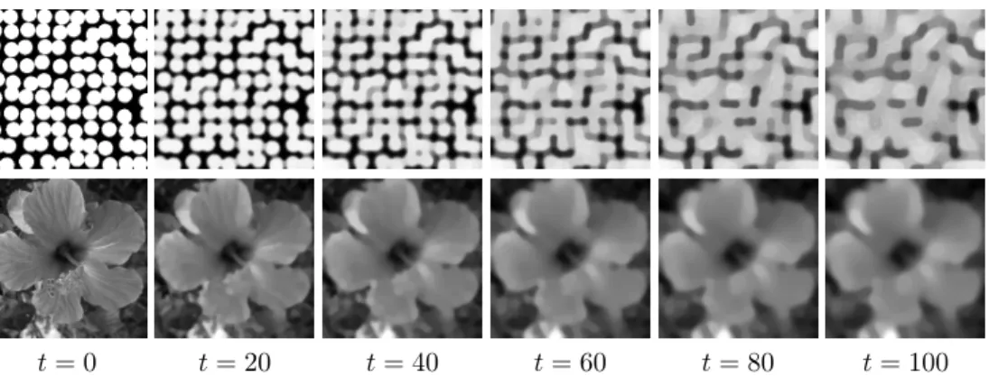 Fig. 4.4: Examples of gradient flows ( 4.10 ) at various times t def. = kτ .