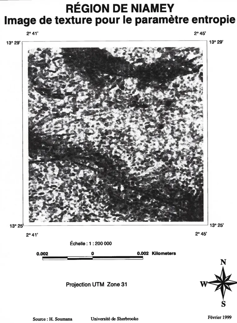 figure 6- Région de Niamey : Image de texture pour le paramètre entropie