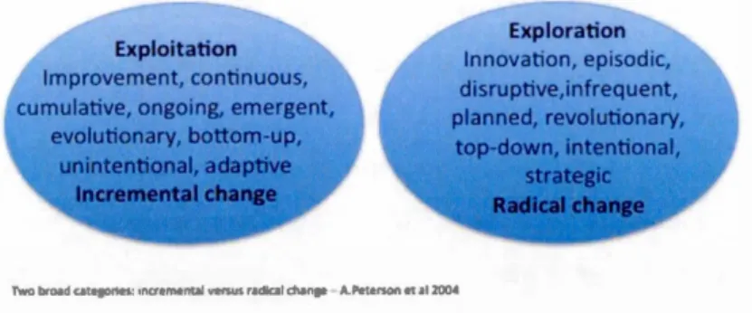 Figure 2.3  Deux catégories de  changement- incrémentai et radical  (Tiré de Petersen  et al