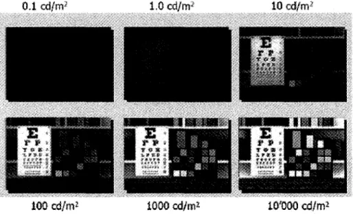 FIG. 15 - Simulation des effets de Hunt et Stevens dans la perception des couleurs et des  contrastes