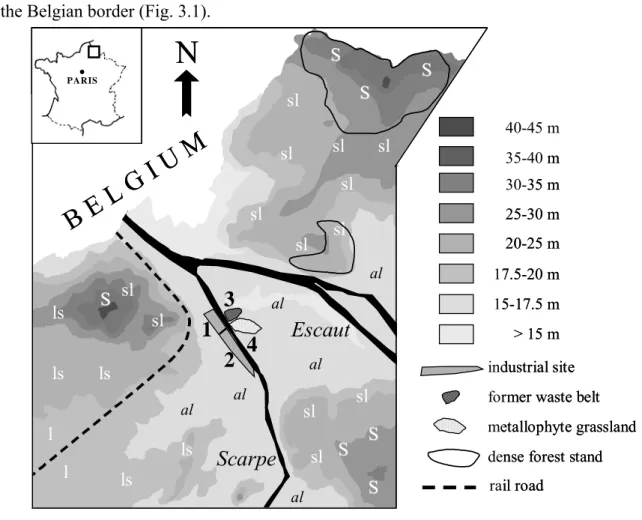 Figure 3.1: Schematic topographical map of the study area with location of the former  metallurgical site including the zinc smelter complex (1), the sulphuric acid plant (2),  extension of the former industrial waste belt (3) and its adjacent metallophyte