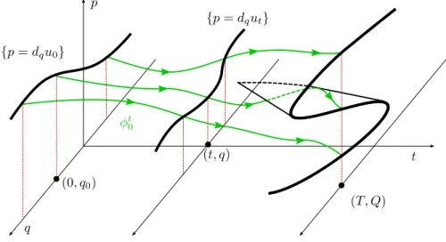Figure 1.1: Geometric solution associated with a smooth initial condition u0.