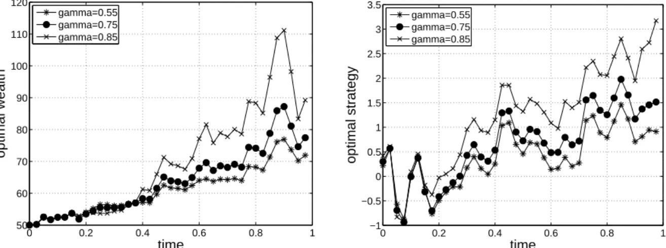 Figure 4: Sample paths of the dynamic evolution of the wealth and investment process at different risk aversion levels of γ.