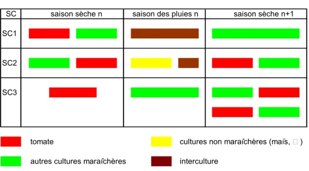 Figure II-3 : Différents systèmes de cultures maraîchers incluant la tomate. 
