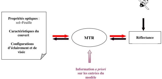 Figure 1 : Schéma décrivant le processus d inversion des données de télédétection.  