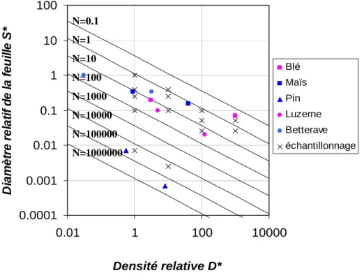 Figure 7: Distribution des variables densité relative (d*) et diamètre relatif de la feuille (S*)