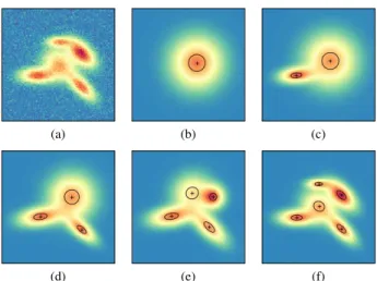 Fig. 2: Illustration of SFW steps on a synthetic image (cf. Alg. 1). (a) synthetic image y t generated with white Gaussian noise, and 5 atoms using a 2D ellipsoid kernel φ
