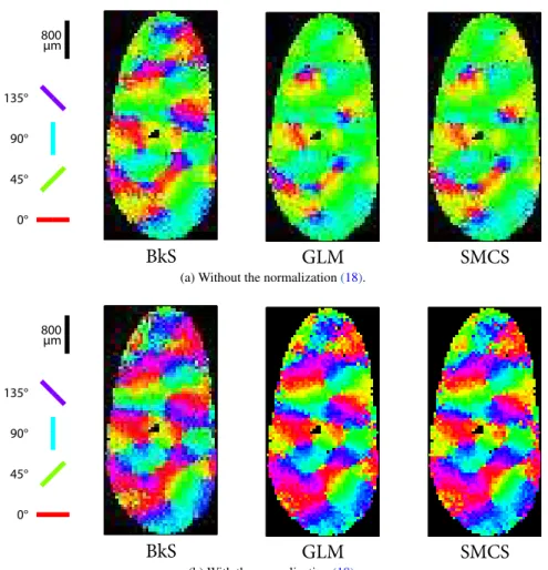 Figure 5: Resulting orientation angle maps Θ, computed with vectorial sum technique according to (19) and (20)