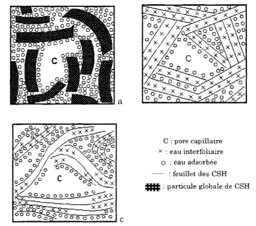 Figure 1.1. Modèles microstructuraux du gel de CSH 