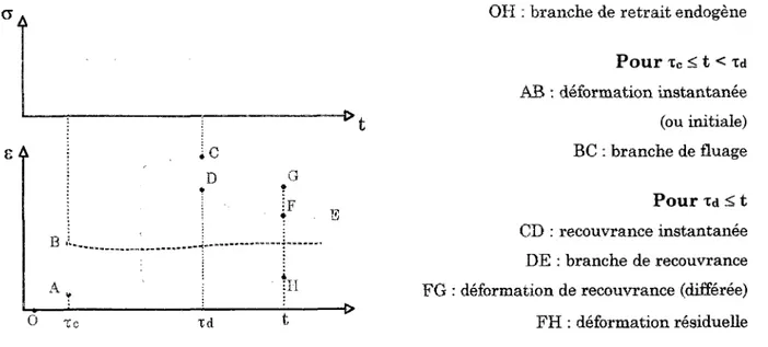 Figure 1.9. Décomposition des déformations sous charge et après décharge 