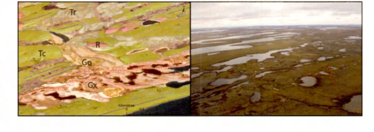Figure 3.2  Exemple d' interprétation finale de sédiments fluvioglaciaires sur les images  RapidEye 