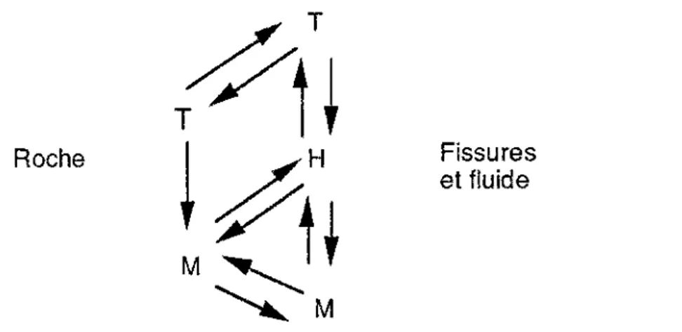 Figure 1-8 : Principaux couplages et interactions dans les massifs rocheux fracturés 