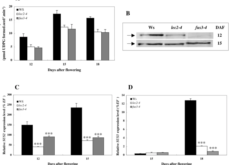 Figure 3.3. SUS2 and SUS3 in seeds of transcription factor mutants.