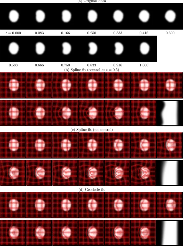 Figure 7: Comparison of regression models on the synthetic data. (a) details the original synthetic shapes that goes through non-monotonic deformations simulating three inflection points