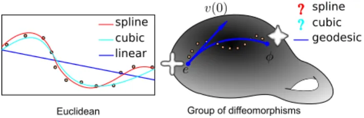 Figure 1: Models of parametric regression to explain data on diffeo- diffeo-morphisms.