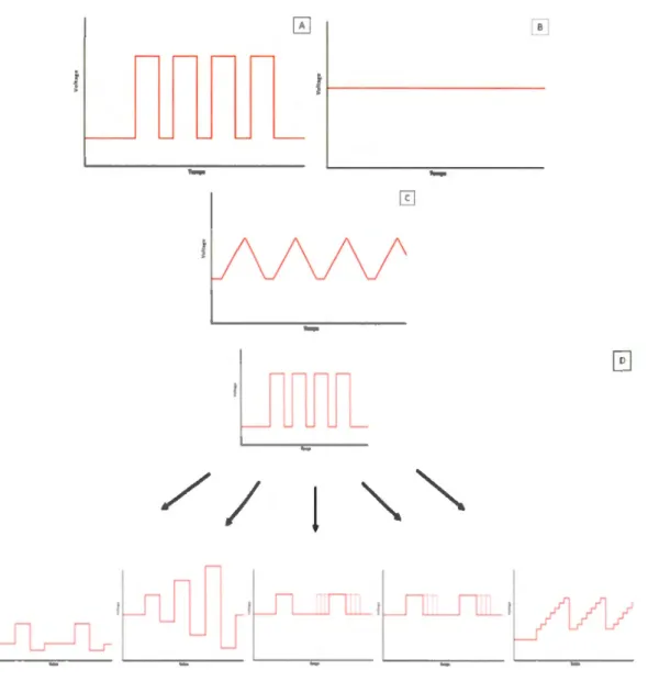 Figure 1.2  Les  fonctions  d' onde  des  expériences  voltammétriques.  Les  trois  fonctions  principales  des  études  voltammétriques  sont  (A)  les  pouls  d'ondes  rectangulaires,  (B)  le  voltage  constant,  aussi  appelé  potentiostatique,  et  (
