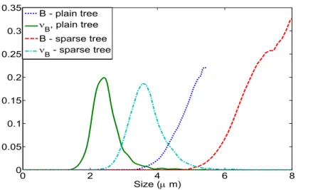 Figure 4: Estimation of B (dotted line and dashed line resp.) and ν B (solid