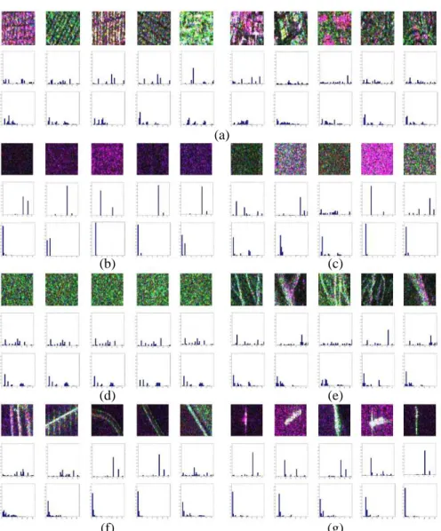 Figure 3. Illustrating CSF and SMSF for RADARSAT-2 samples. The first row are original PolSAR samples, the second and third rows are the corresponding CSF and SMSF histograms, respectively