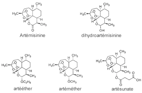 Fig. 2.2:  Structures chimiques del ' Artémisinine et ses dérivés bioactifs 