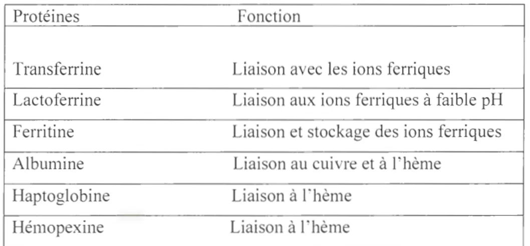 Tableau 3.2:  Les antioxydants chélateurs de cations métalliques (adapté de Symons et  Gutteridge, 1998) 