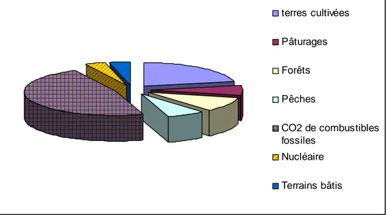 Figure 6.  Empreinte écologique mondiale par source